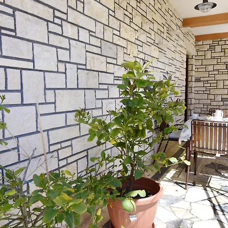 Spacious Ground-floor Flat In
